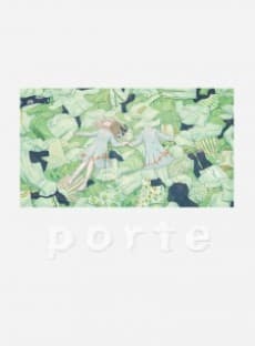 Porte cover